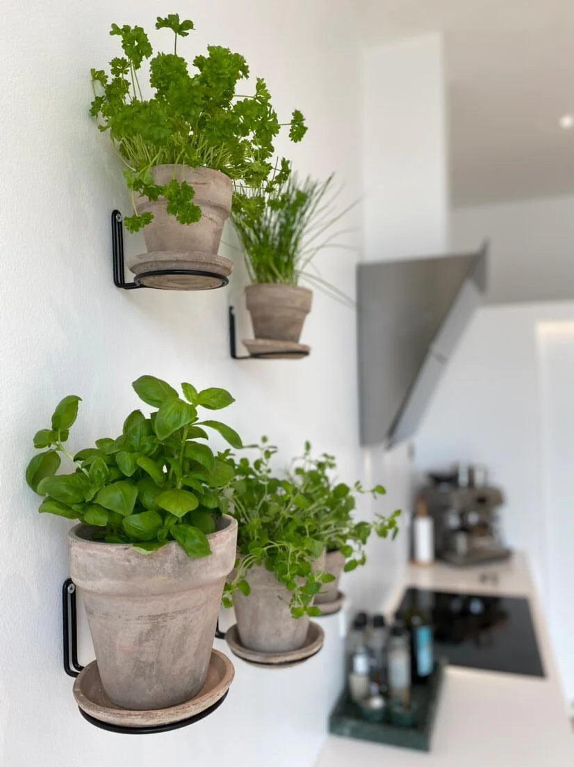 Plantwire Sort (small)